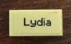 Display of LEGO part no. 3069pb0742 which is a Tan Tile 1 x 2 with 'Lydia' Pattern (Sticker), Set 21144 