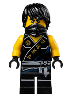 This LEGO minifigure is called, Cole (Tournament Robe), Tournament of Elements . It's minifig ID is njo114.