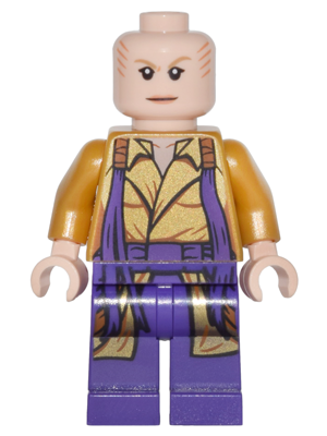 This LEGO minifigure is called, The Ancient One . It's minifig ID is sh0298.