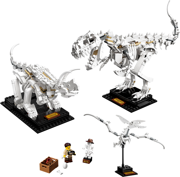 Display of LEGO Ideas Dinosaur Fossils 21320