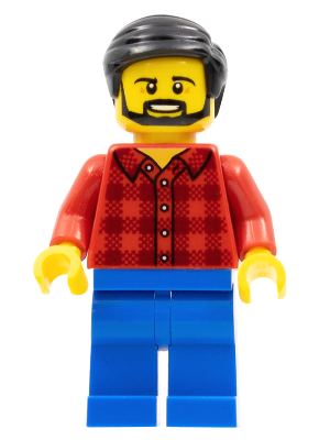 This LEGO minifigure is called, Flannel Shirt, Blue Legs, Black Hair, Beard . It's minifig ID is cty0664.