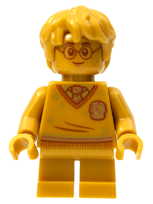 Display of LEGO Harry Potter Harry Potter, 20th Anniversary Pearl Gold