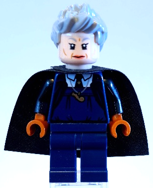 Display of LEGO Harry Potter Madame Hooch, Dark Blue Outfit