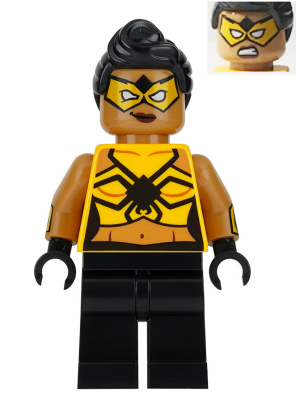 This LEGO minifigure is called, Tarantula . It's minifig ID is sh322.
