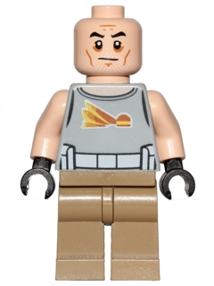 This LEGO minifigure is called, Commander Gregor . It's minifig ID is sw0748.