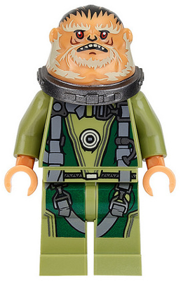 This LEGO minifigure is called, Bistan . It's minifig ID is sw0780.
